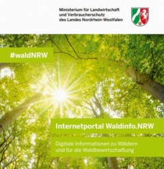 Vorschaubild Vorschaubild Waldinfo.JPG