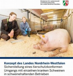 Vorschaubild Vorschaubild Kranke Schweine.JPG