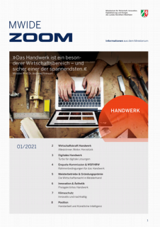 MWIDE Zoom 01-2021.png